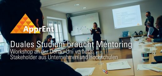 ApprEnt Workshop Mentoring