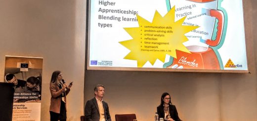 EUvocationalskills week